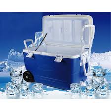 GLACIERE KEEP COLD DELUXE 48 L