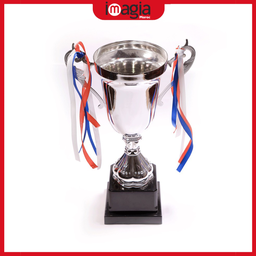 TROPHEES COUP DE FOOTBALL