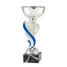 TROPHEES COUP DE FOOTBALL MYOANE MODIL