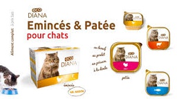 BOITE  ECO DAINA 300G