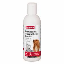 CHAMPOING CHIEN CHAT